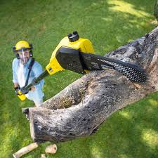 Best Utility Line Clearance  in Colmar Manor, MD